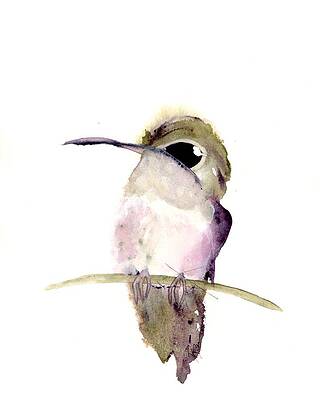 Wall Art - Painting - Hummingbird Series 2019 #5 by Dawn Derman