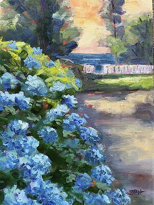 Hydrangea Sunrise by Barbara Hageman Hydrangea Sunrise by Barbara Hageman