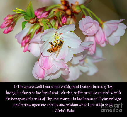 I Am A Little Child, No. 2 by Baha'i Writings As Art I Am A Little Child, No. 2 by Baha'i Writings As Art