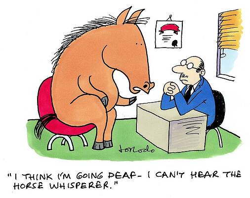 Wall Art - Drawing - I Think I'm Going Deaf - I Can't Hear The Horse Whisperer by Jorodo