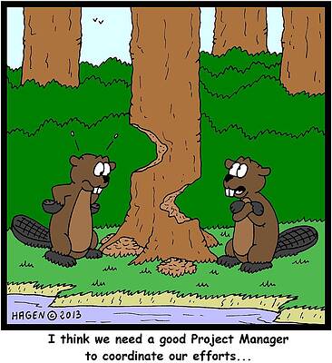 Wall Art - Drawing - I Think We Need A Good Project Manager To Coordinate by Hagen
