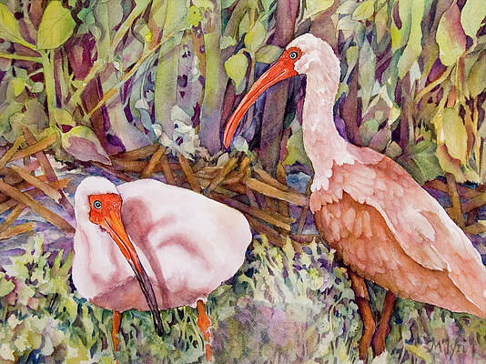  Painting - Ibis by Jennifer Priem