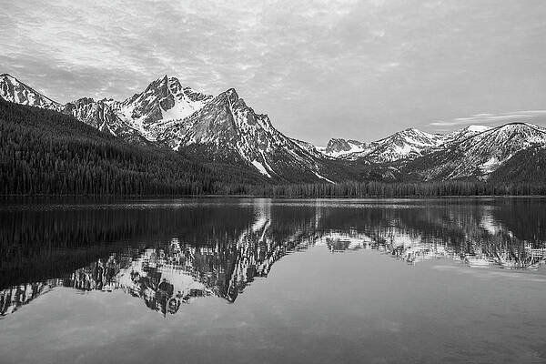 Idaho - Black and White by Aaron Spong Idaho - Black and White by Aaron Spong