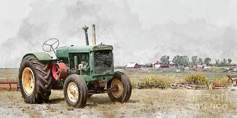 In the Field by Brad Allen Fine Art In the Field by Brad Allen Fine Art