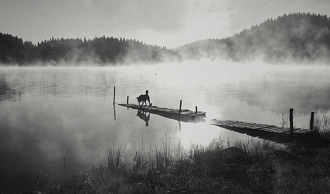 Wall Art - Photograph - In The Fog ... by Zlatina Peeva