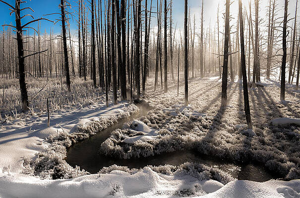 INHALE THE WINTER by KAREN WILES INHALE THE WINTER by KAREN WILES