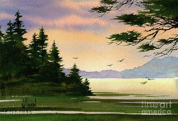 San Juan Islands Paintings Fine Art America