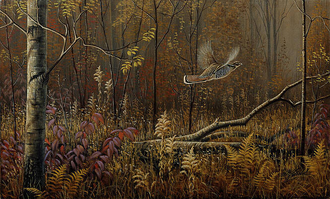 Wall Art - Painting - Into The Open - Ruffed Grouse by Wilhelm Goebel