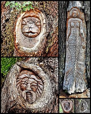 Island Tree Spirits by Kathy K McClellan Island Tree Spirits by Kathy K McClellan