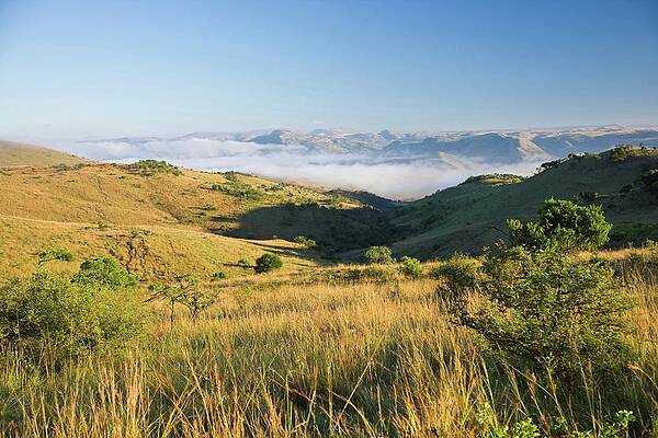 Wall Art - Photograph - Itala Game Reserve. Kwazulu Natal by Roger De La Harpe