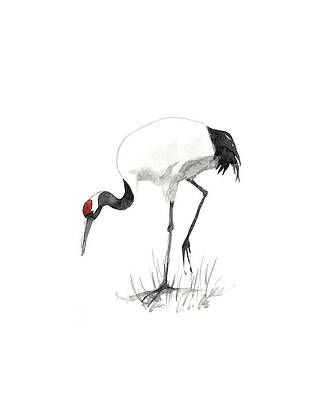 Japanese Crane Paintings Fine Art America