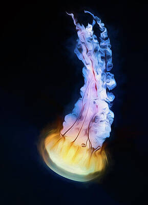 Wall Art - Photograph - Jelly Glow by Art Cole