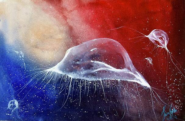 Jellyfish Paintings Fine Art America