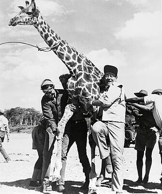 Wall Art - Photograph - JOHN WAYNE in HATARI -1962-. by Album