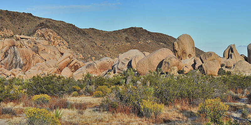 Joshua Tree Rock Formations by Paulette B Wright Joshua Tree Rock Formations by Paulette B Wright