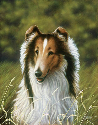 Dog Paintings (Page #24 of 35) | Fine Art America