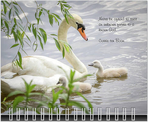 Wall Art - Photograph - July Inspirational 2019 Calendar Preview by Joni Eskridge