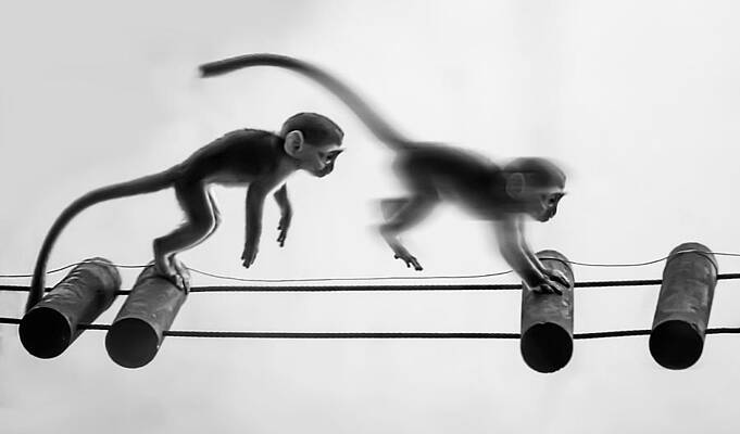 Wall Art - Photograph - Jumping Exercise by Ryu Shin Woo
