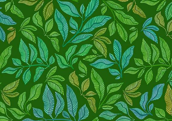 Wall Art - Photograph - Jungle Vines by Kristian Gallagher