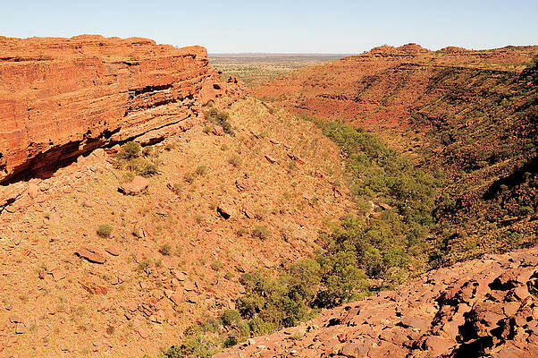 Wall Art - Photograph - Kings Canyon With Woodland In Valley. Watarrka National by Enrique Lopez-tapia / Naturepl.com