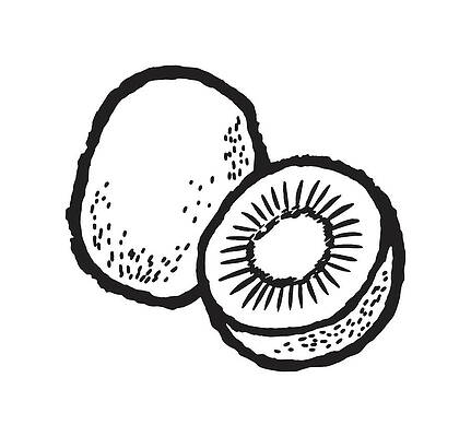 How to Draw a Kiwi Step by Step - EasyDrawingTips