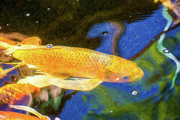 Wall Art - Digital Art - Koi Pond Fish - Winning Moves - by Omaste Witkowski by Omaste Witkowski