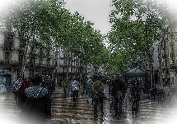 Wall Art - Photograph - La Rambla Artistic by Darryl Brooks