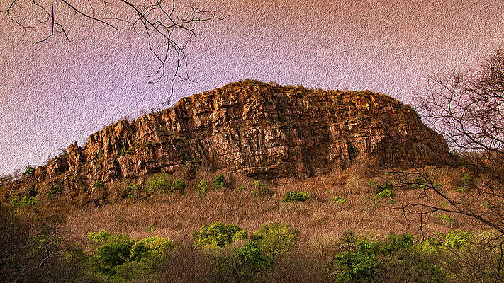 Landscape In Ranthambhor by Manjot Singh Sachdeva Landscape In Ranthambhor by Manjot Singh Sachdeva