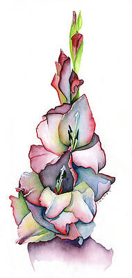 Last Glad of the Season by Catherine Twomey Last Glad of the Season by Catherine Twomey