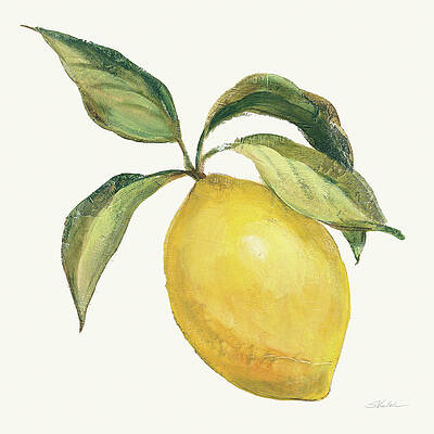 Citrus Paintings - Fine Art America