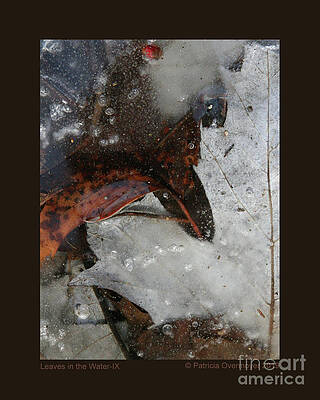 Leaves in the Water-IX by Patricia Overmoyer Leaves in the Water-IX by Patricia Overmoyer