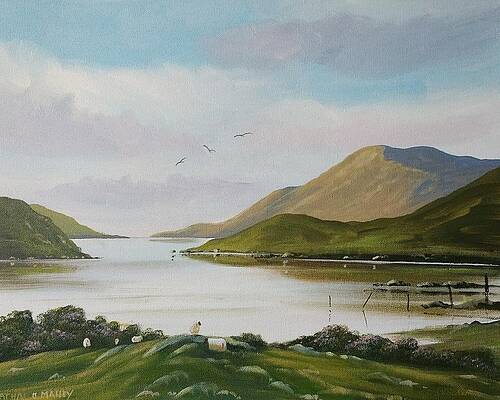 leenane sheep by Cathal O malley leenane sheep by Cathal O malley