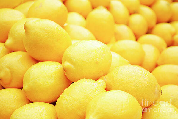 Wall Art - Photograph - Lemon by Jelena Jovanovic