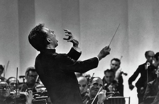 Wall Art - Photograph - Leonard Bernstein Conducting by Pictorial Parade