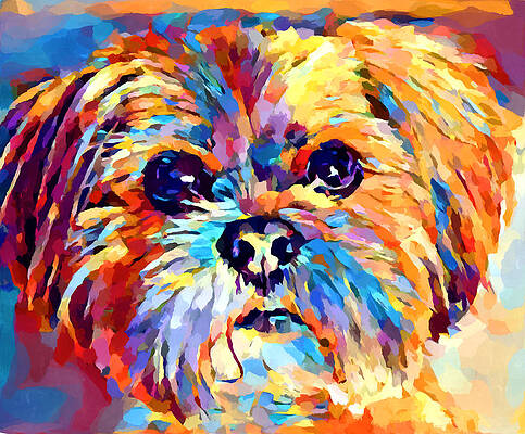 Wall Art - Painting - Lhasa Apso 3 by Chris Butler
