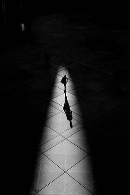 Wall Art - Photograph - Light And Shadows by Jian Wang