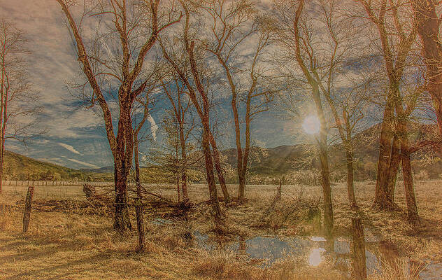 Wall Art - Photograph - Lines and Shadows of a Winter Sunrise by Marcy Wielfaert