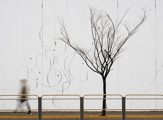 Wall Art - Photograph - Lines by Han Dong Hee