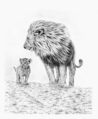 Mother And Baby Animals Drawings Fine Art America Mother And Baby Animals Drawings Fine Art America