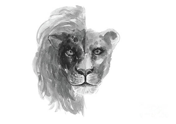 Abstract Lion Paintings Fine Art America
