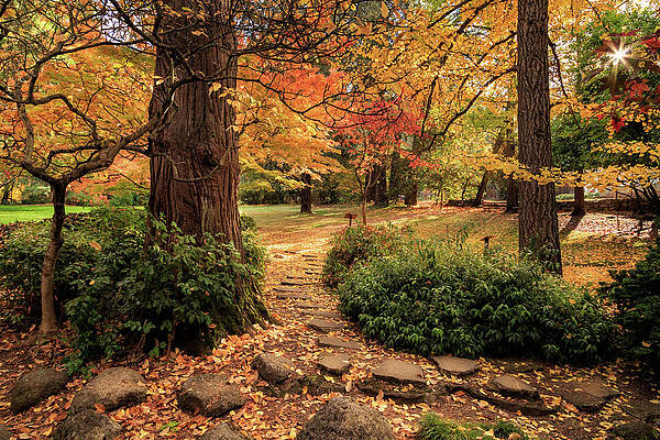 Lithia Park Path by James Eddy Lithia Park Path by James Eddy