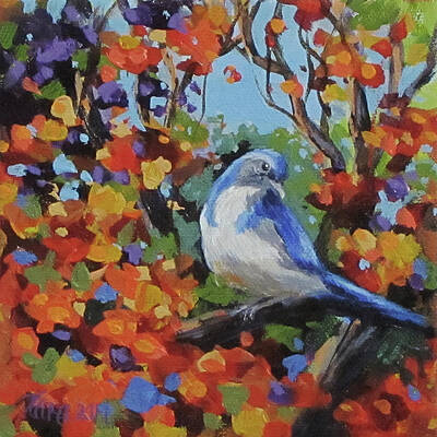 Scrub Jay Paintings Fine Art America