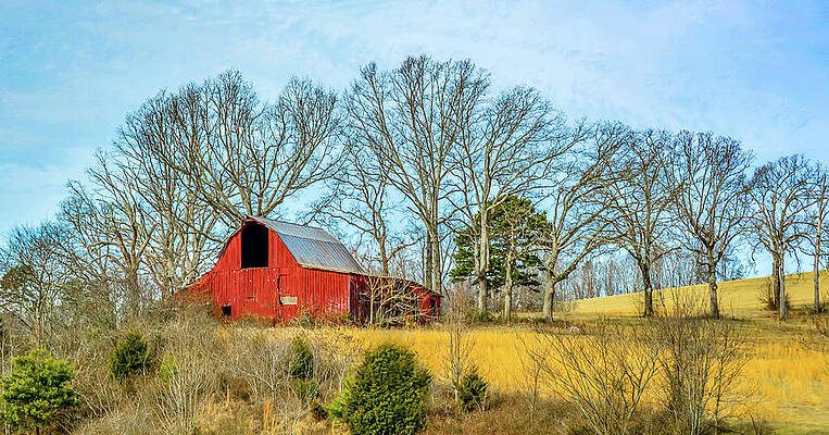 Wall Art - Photograph - Little Red Barn by Marcy Wielfaert