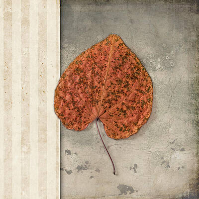 Wall Art - Mixed Media - Lodge Leaf 2 by Lightboxjournal