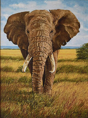 LONE BULL ELEPHANT by Charles Berry LONE BULL ELEPHANT by Charles Berry
