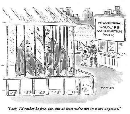 Wall Art - Drawing - Look, I'd Rather Be Free, Too, But At Least We're Not In by Bob Mankoff