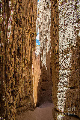 Looking Out by Kathy McClure Looking Out by Kathy McClure