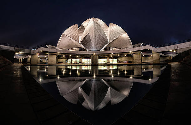 Wall Art - Photograph - Lotus by Rana Jabeen