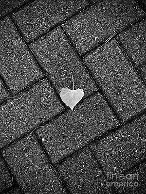 Love Leaf Noir by Andres Cavazos Love Leaf Noir by Andres Cavazos
