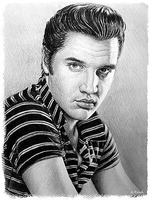 Wall Art - Drawing - Love me Tender by Andrew Read